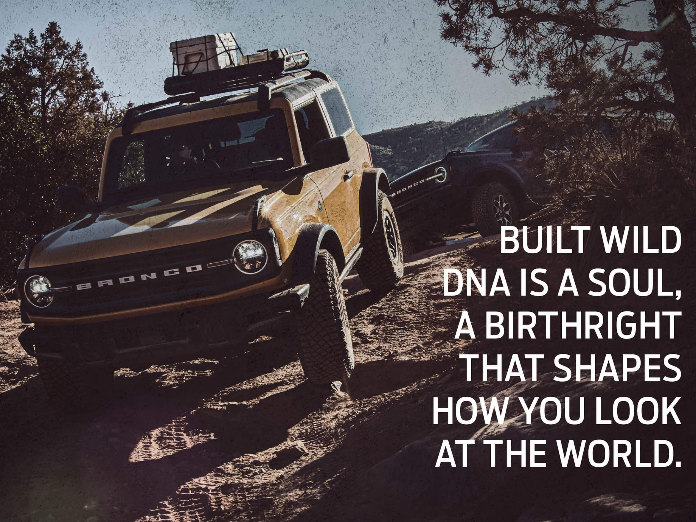 Ford Bronco